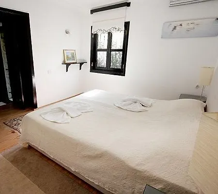 Villa Peaceful Space In Bodrum Golturkbuku