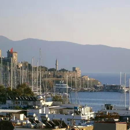 Peaceful Space In Bodrum * 골터크부쿠